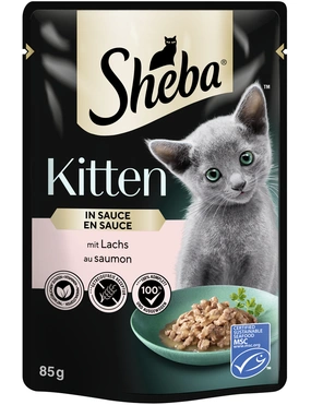 Sheba Kitten in Sauce