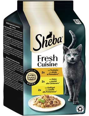Sheba Fresh Cuisine Sheba Fresh Cuisine