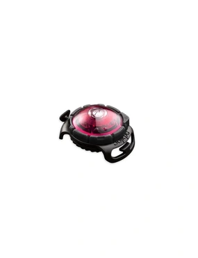 orbiloc Dog Dual LED Sicherheitslicht