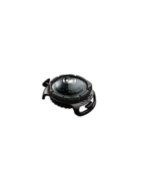 orbiloc Dog Dual LED Sicherheitslicht