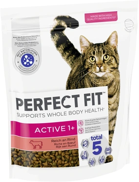 PERFECT FIT ACTIVE PERFECT FIT ACTIVE