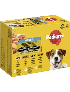 Pedigree Adult in Sauche Pedigree Adult in Sauche