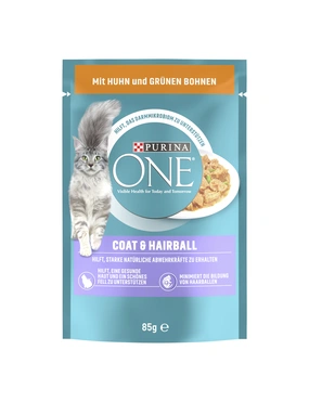 PURINA ONE Coat & Hairball