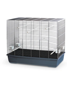 MPS Vogelheim Kloris