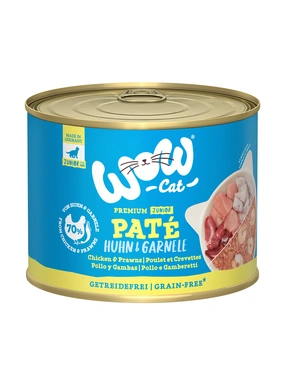 WOW Cat Junior