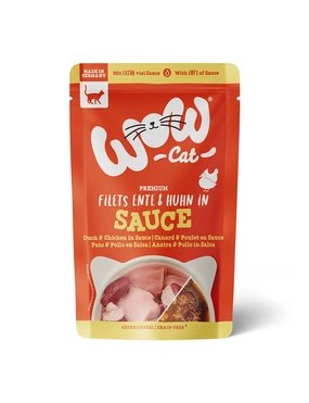 WOW Cat in Sauce