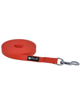 Canosept Ohrpflege Finger-Pads für Hunde