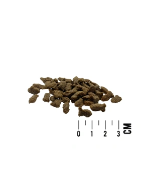 nassfutter fr hunde Nassfutter WildBuffalo "Bffel & Spinat" fr Hunde