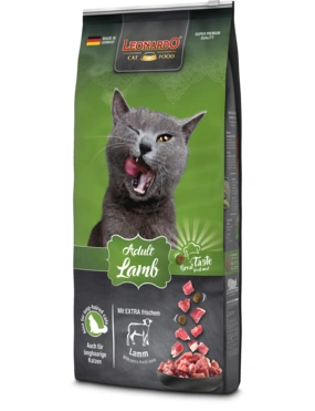 LEONARDO Adult LEONARDO Adult