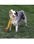 KONG Maxx Tug