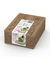 catit Senses 2.0 Cat Grass Kit 3 Stück