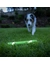 Chuckit! Max Glow Ultra Fetch Stick
