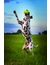 KONG Air Dog American Football