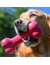 KONG Goodie Bone