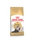 ROYAL CANIN Persian Adult