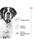 ROYAL CANIN Giant Adult