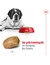 ROYAL CANIN Giant Adult