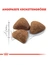 ROYAL CANIN Indoor