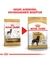 ROYAL CANIN Rottweiler Adult