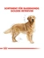 ROYAL CANIN Golden Retriever Adult