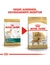 ROYAL CANIN Golden Retriever Adult