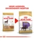 ROYAL CANIN Labrador Adult Sterilised