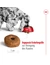 ROYAL CANIN Medium Ageing 10+