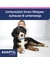ADAPTIL Junior Halsband