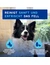 DOUXO SPA Mousse ohne Ausspülen für Hunde