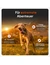 Weenect XT GPS Tracker ohne Halsband