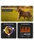 Weenect XS GPS Tracker für Katzen