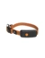 Weenect XT GPS Tracker mit Halsband