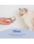 GimCat ShinyCat Jelly