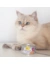 GimCat ShinyCat Jelly