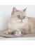 GimCat ShinyCat Jelly
