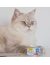 GimCat ShinyCat Brühe