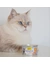 GimCat ShinyCat Brühe