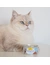 GimCat ShinyCat Brühe