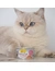 GimCat ShinyCat Brühe