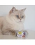 GimCat ShinyCat Brühe