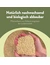 Biokat's Organic Care Plant Fibres