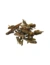 Tetra ReptoDelica Grasshoppers