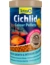 Tetra Cichlid Colour