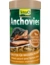 Tetra Anchovies