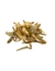 Tetra Anchovies