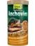 Tetra Anchovies
