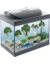 Tetra Starter Line LED Aquarium
