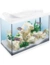 Tetra Starter Line LED Aquarium