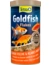 Tetra Goldfish