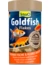 Tetra Goldfish